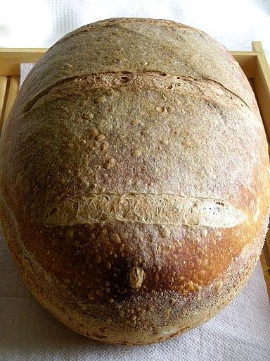 Pane a lievitazione naturale styl Allam i McGuinnessa