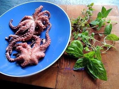Ośmiornica z makaronem w sosie pomidorowym