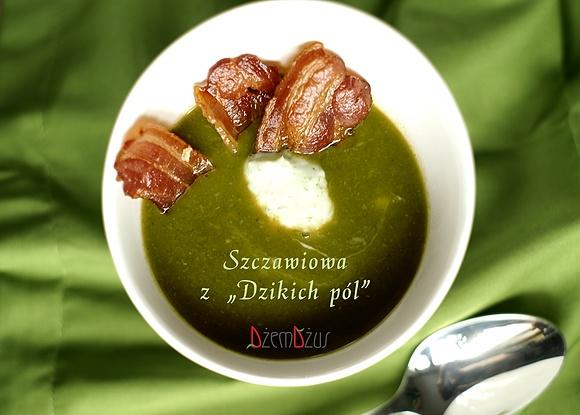 Dzika kremowa zupa z ekologicznego szczawiu