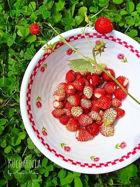 Panna cotta z dzikiego bzu i poziomkowym coulis