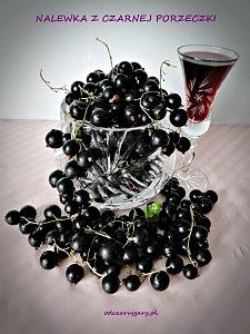 Nalewka z czarnej porzeczki