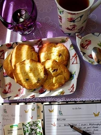 Ulubione ciasteczka taty coconut and cranberry cookies