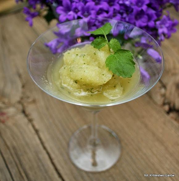 Sorbet melonowy