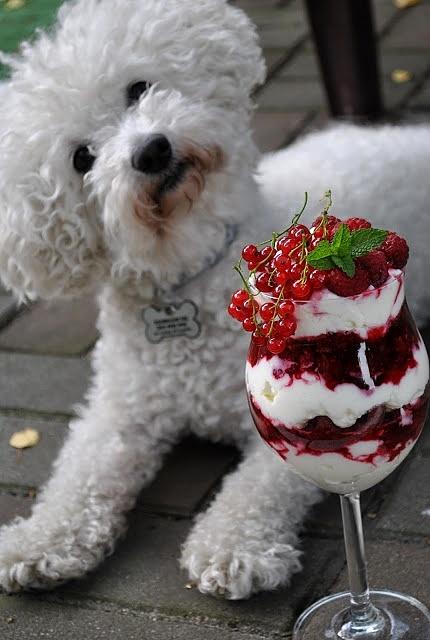 Mocno malinowy Eton Mess z kremem i bezami