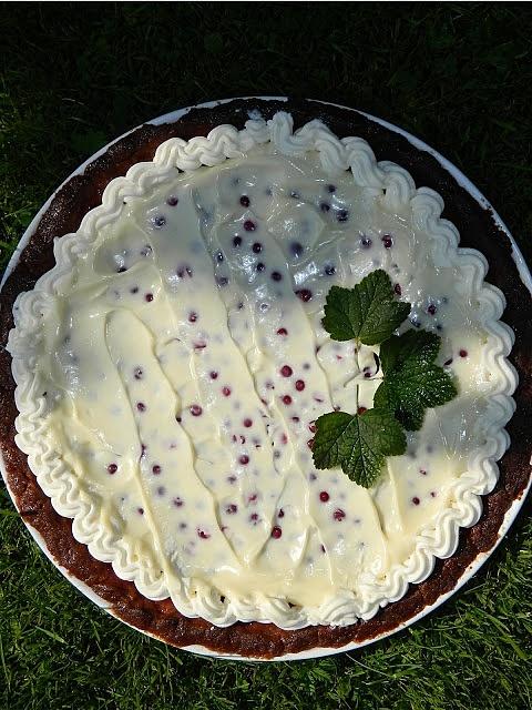 Czekoladowa tarta z galaretką porzeczkową