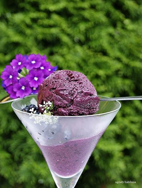 Lody jagodowo kokosowe z owocami i mlekiem kokosowym