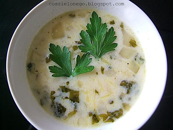 Turca zupa jogurtowa