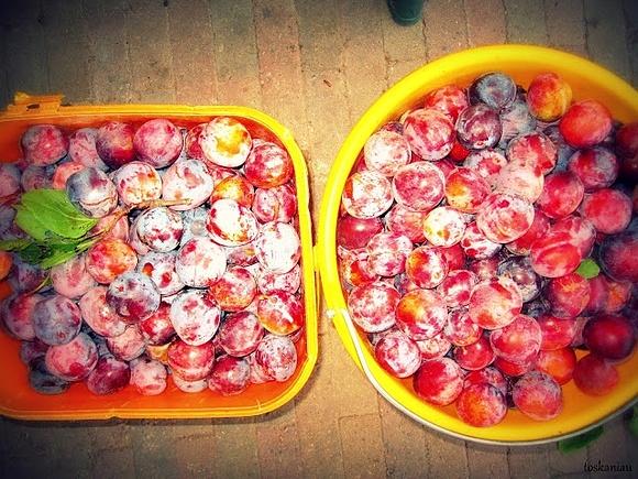 Śliweczki - słodkie, soczyste owoce na desery i przekąski