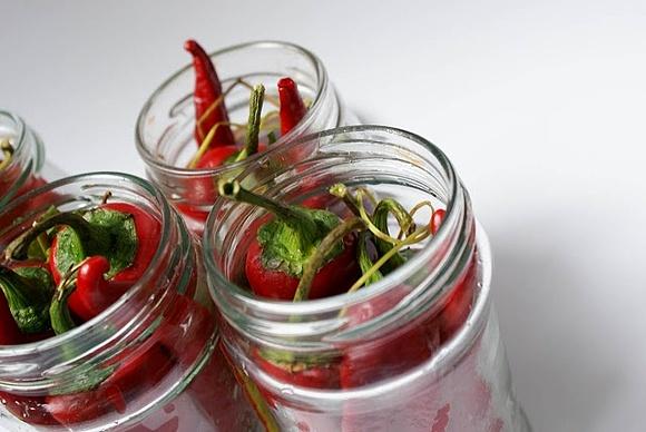 Papryczka chili marynowana