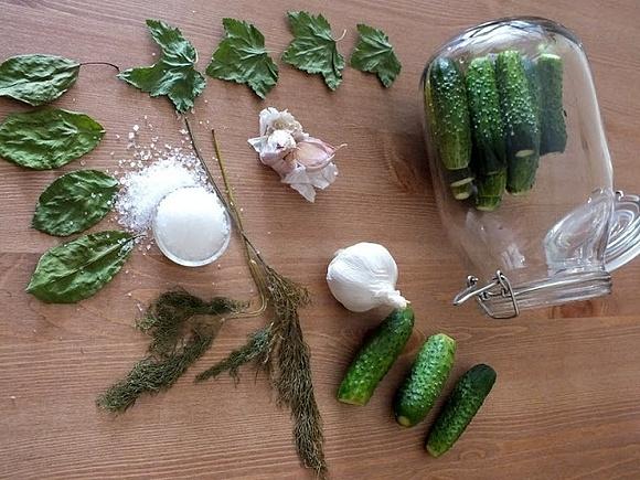 Ogórki małosolne i kiszone - przepis od Mamy