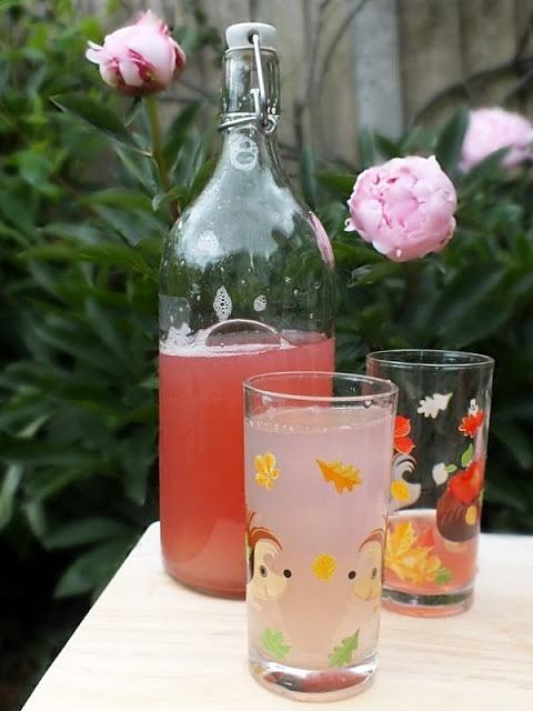 Syrop z rabarbaru