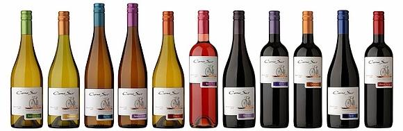 Cono sur - rowerowe wino