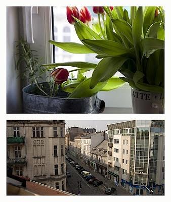 Niedzielna śniadaniowa uczta