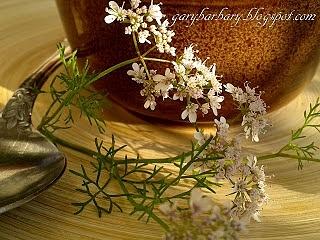 Zupa szpinakowa z migdałami i parmezanem