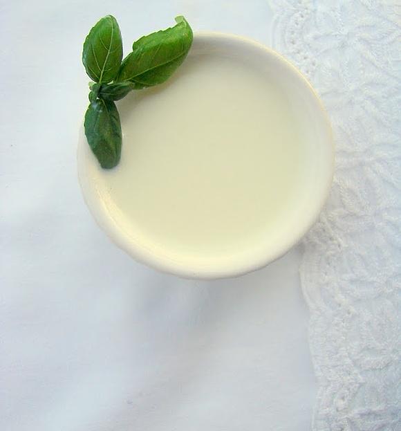 Panna cotta z aromatycznym miodem