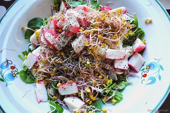 Sałatka z roszponki, cykorii, kiełków i surimi