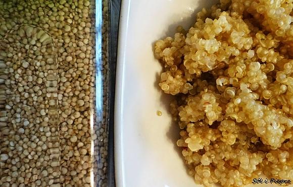 Komosa ryżowa quinoa