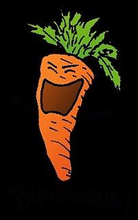 Daucus carota zastosowania w kosmetyce domowej