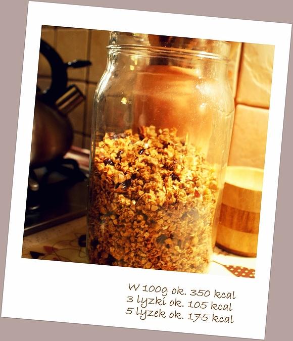 Domowe musli