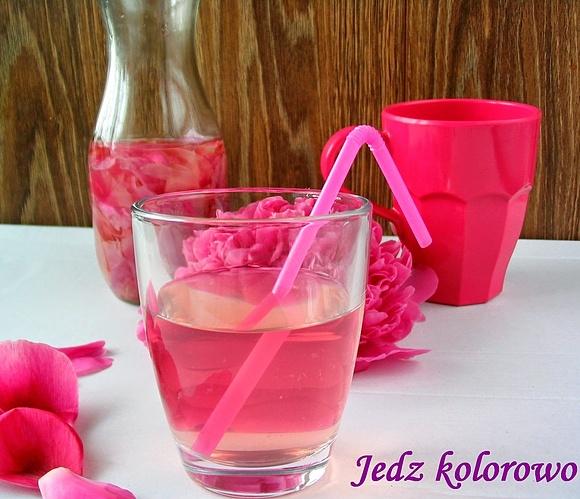 Lemoniada z piwonii