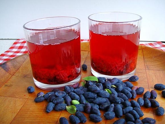 Kompot z rabarbaru i jagody kamczackiej na lato