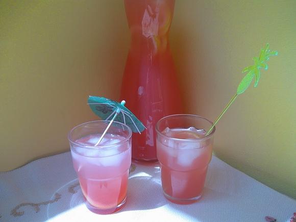 Lemoniada rabarbarowa
