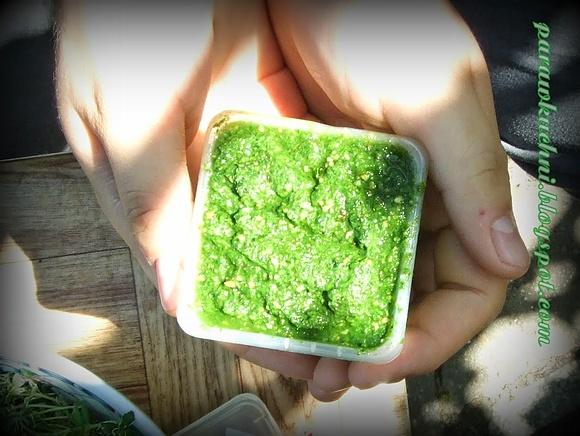 Pesto z czosnku niedźwiedziego i kolendry