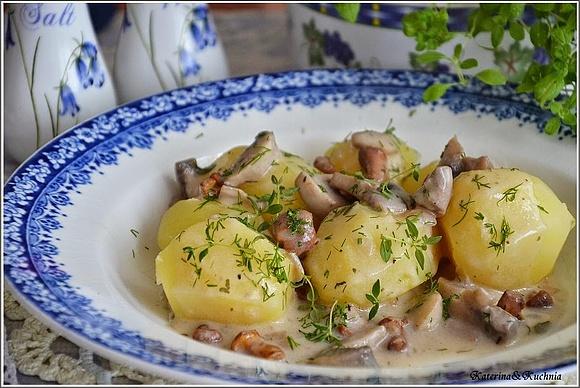 Sos kurkowo pieczarkowy