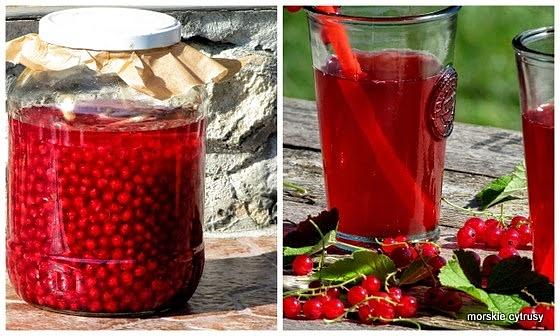 Lemoniada z różą i nalewka z trawy cytrynowej z porzeczek