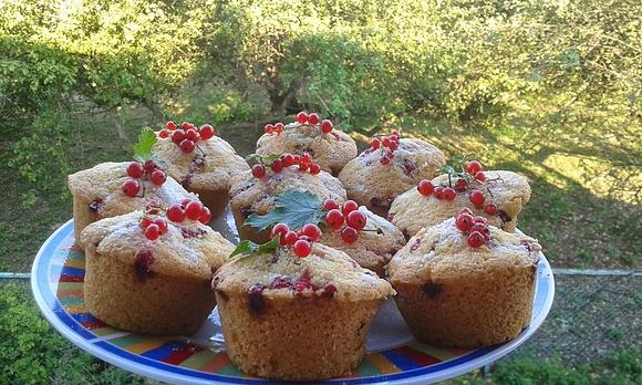 Muffiny z czerwonymi porzeczkami