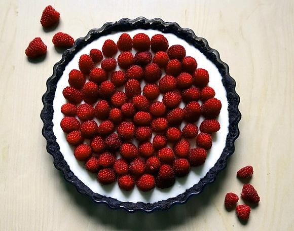 Tarta z panna cottą i malinami na cieście czekoladowym