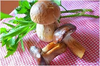 Zupa z grzybów leśnych