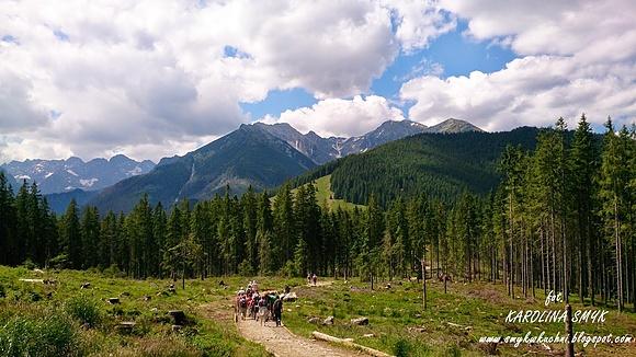 Szlak dla amatorów: rusinowa polana - gęsia szyja