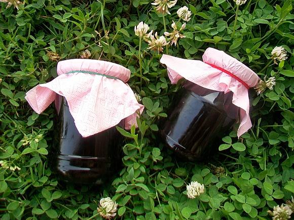 Konfitura z czarnej porzeczki