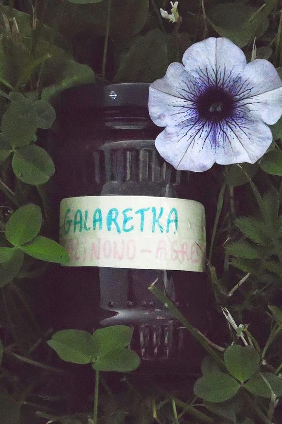 Galaretka malinowo-agrestowa