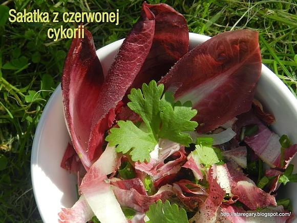 Sałatka z czerwonej cykorii
