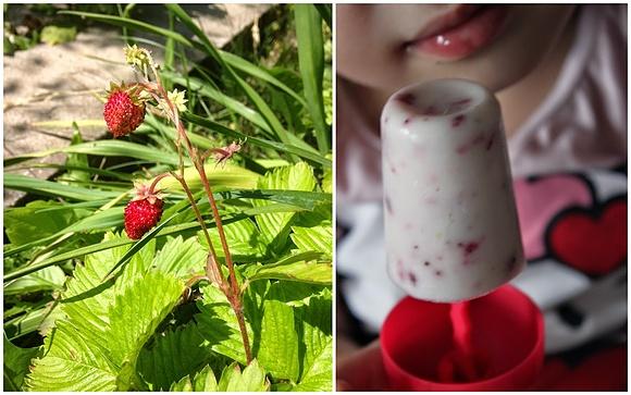 Jogurtowe lody poziomkowe - najłatwiejszy przepis
