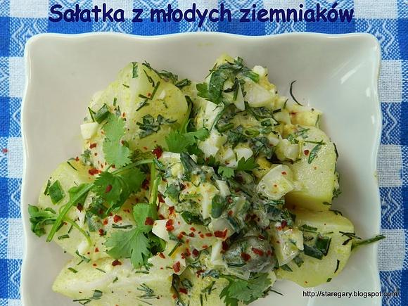Sałatka z młodych ziemniaków, ziołami i lekkim sosem