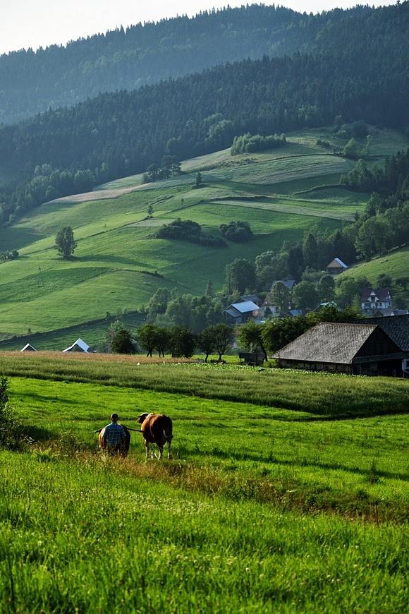 Beskid kulinarnie - regionalne specjały i przepisy