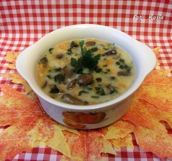 Zupa grzybowa