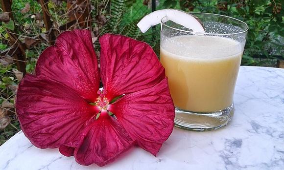 Pinacolada - koktajl z kokosów, ananasa i rumu na upał