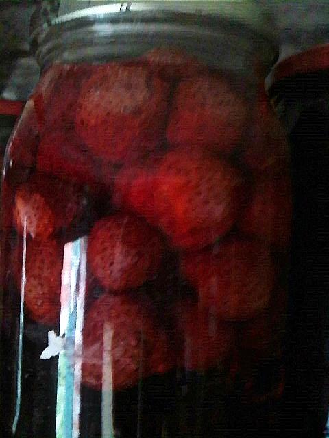Kompot z truskawek