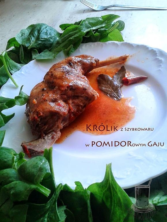 Królik z szybkowaru w pomidorach i papryce