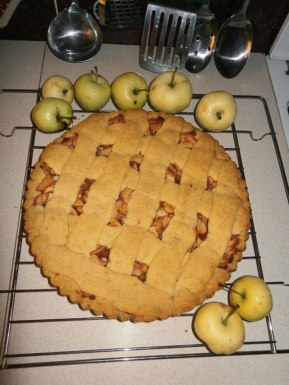 Tarta z jabłkami papierówkami