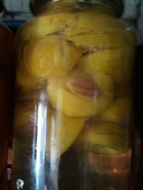 Kompot ze śliwek shiro