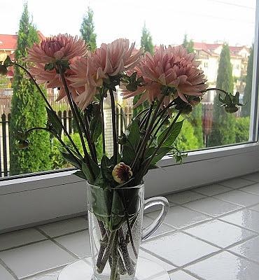Bawarski placek drożdżowy ze śliwkami