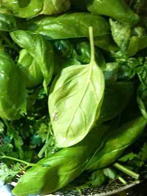 Pesto pietruszkowo-bazyliowe