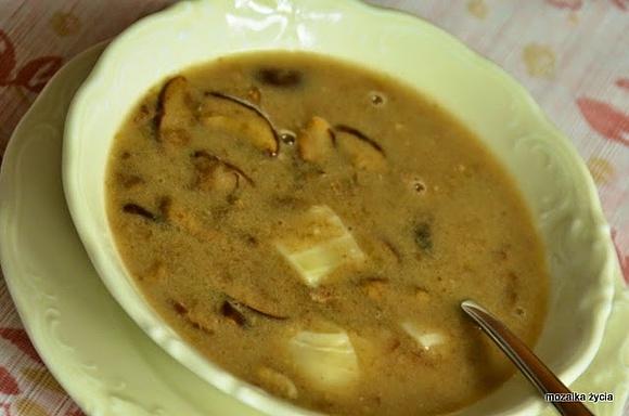 Zupa grzybowa ze świeżych grzybów