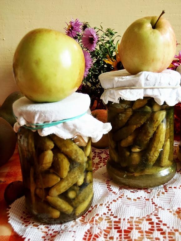 Kiszone Korniszons miniaturki – chrupkie ogórki na przyjęcie