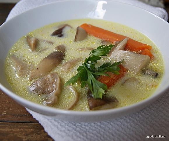 Zupa borowikowa